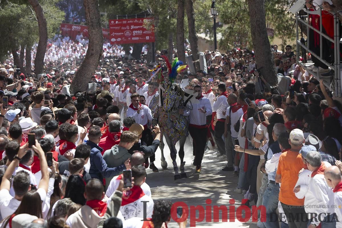 Así se ha vivido la carrera de los Caballos del Vino en Caravaca