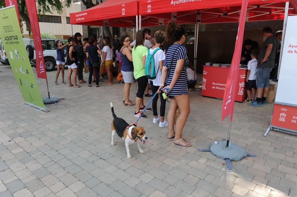 Muestra de mascotas en La Fama