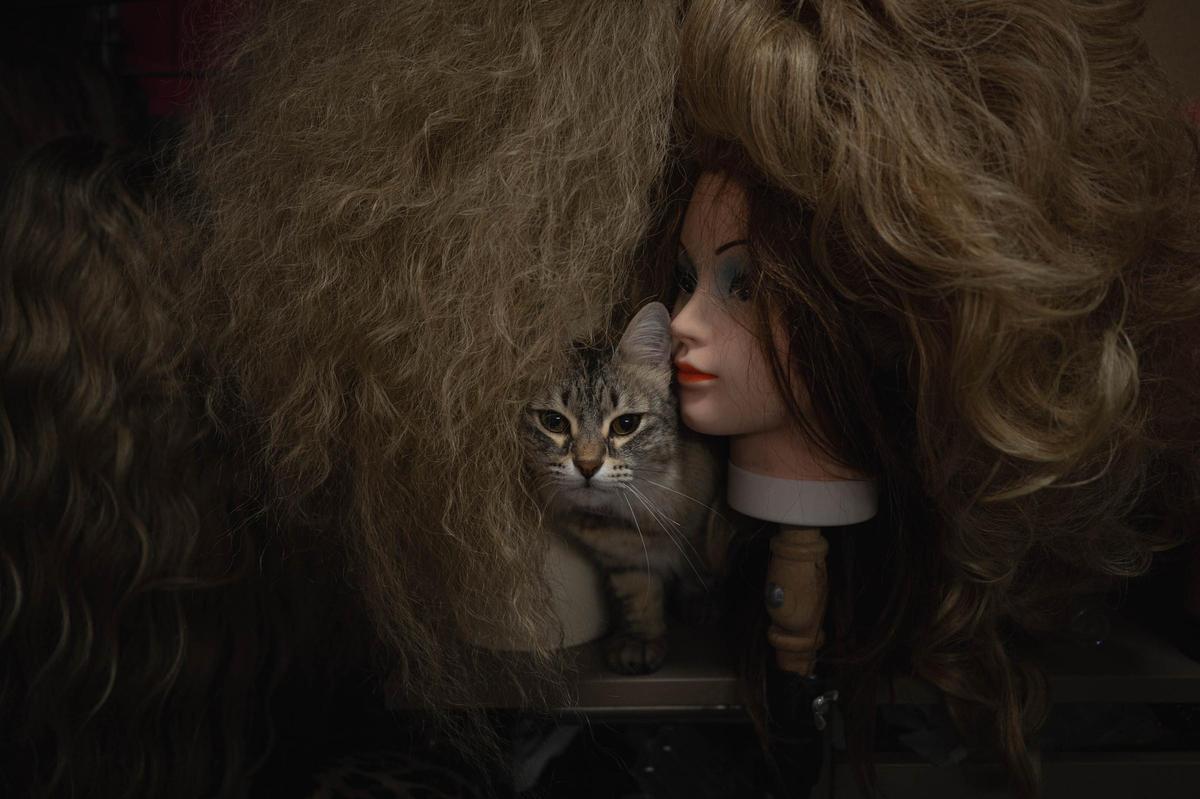 Así se prepara un drag de Carnaval: Exhuberancia Carey