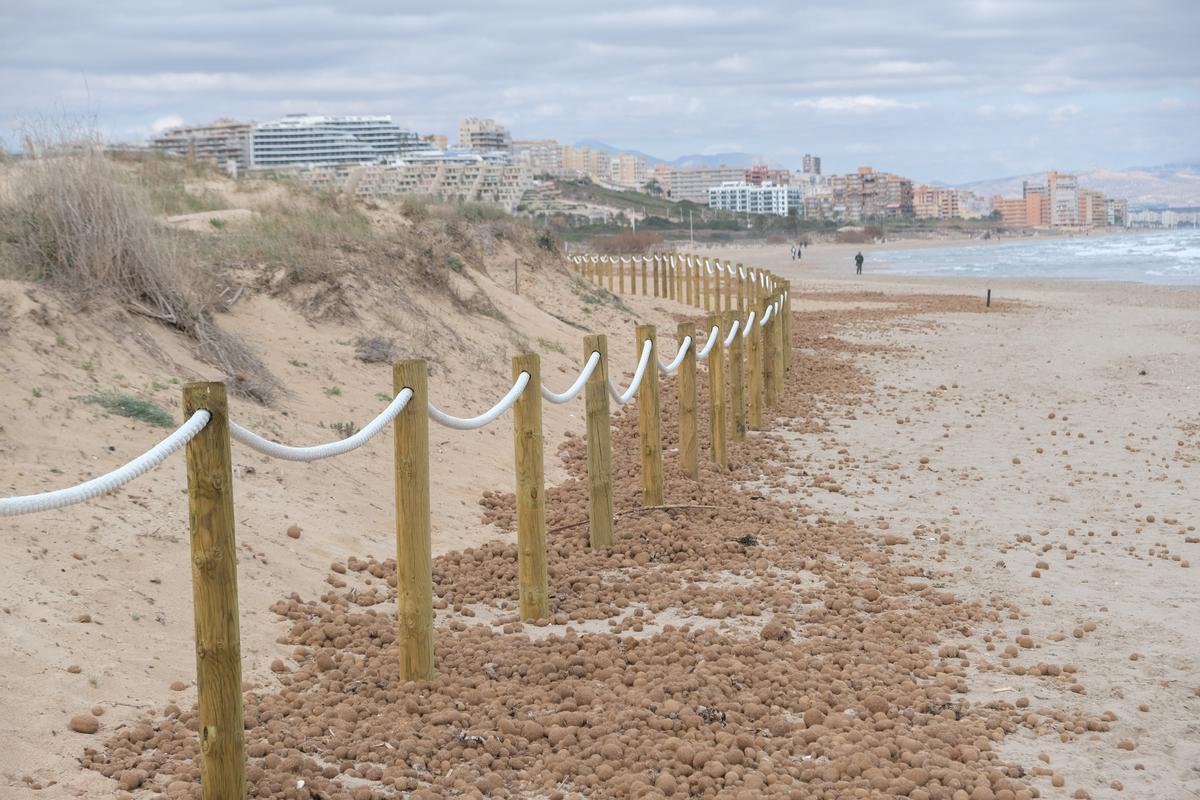 El cordón de protección dunar, en sentido hacia Arenales del Sol