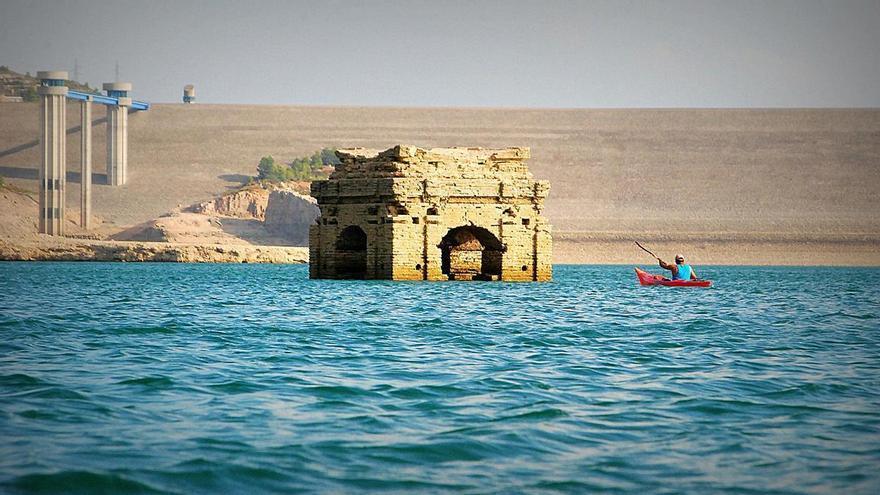 La expansión de la medusa de agua dulce originaria de China llega ya a Tous