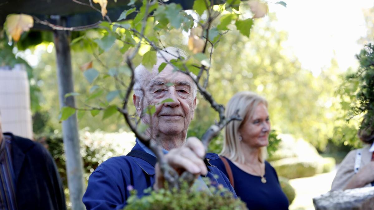 El vínculo de Rolf Beyebach con los bonsáis, en imágenes.