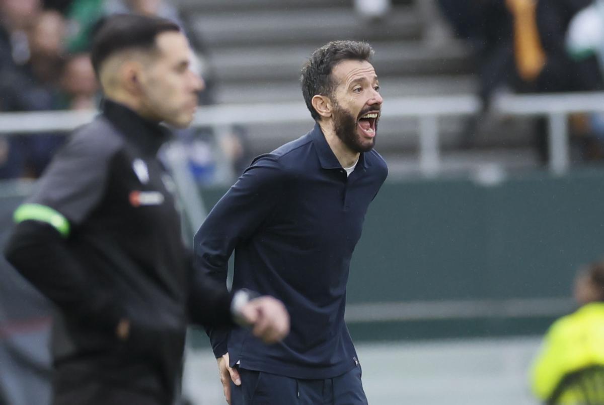 Carlos Corberán en La Cartuja, en su partido 50 con el Valencia CF