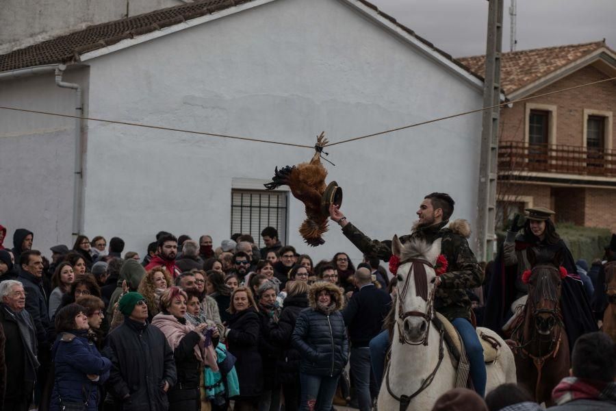 Carrera del Gallo en El Pego