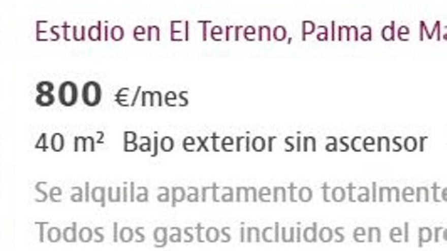 &quot;Nos pegamos con los propietarios para que no suban los precios&quot;