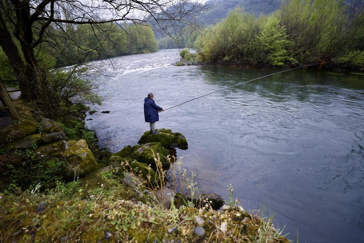 Un pescador, en el Narcea, al salmón.