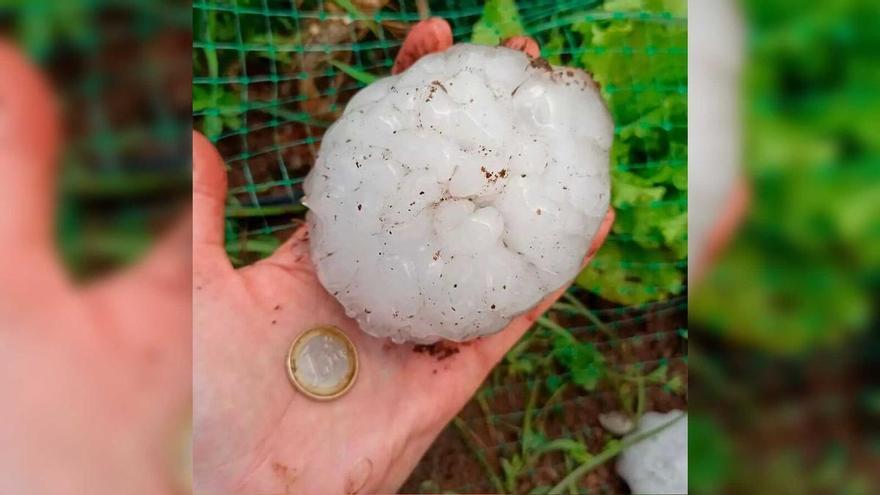 La &#039;supercalamarsa&#039; de la Bisbal d&#039;Empordà de 2022 es va originar per una onada de calor marina