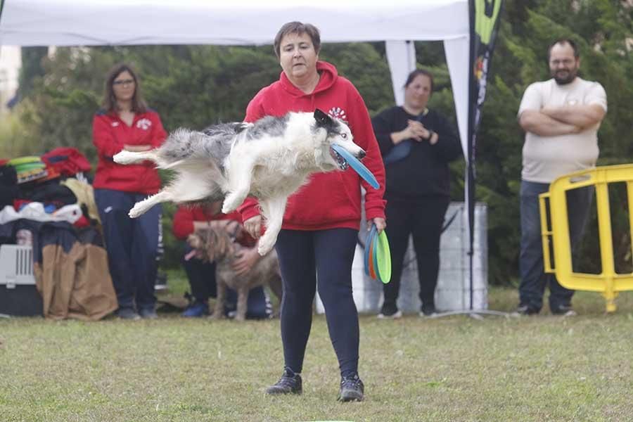 Una día muy perruno en la Canicross de Córdoba