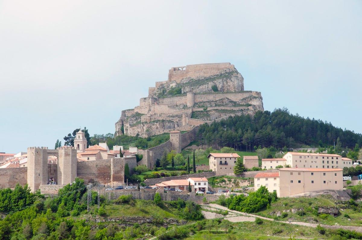 Morella