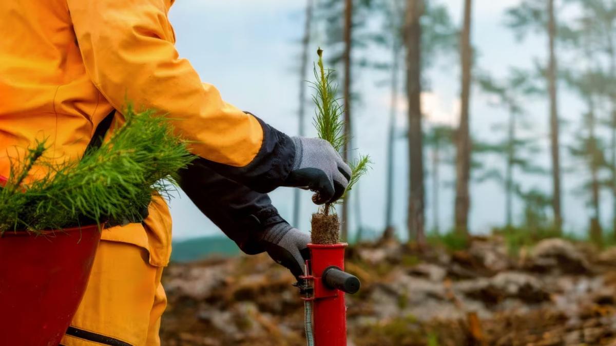 La convocatoria apoya proyectos que contribuyan a mejorar la vida de las personas y a proteger el entorno.