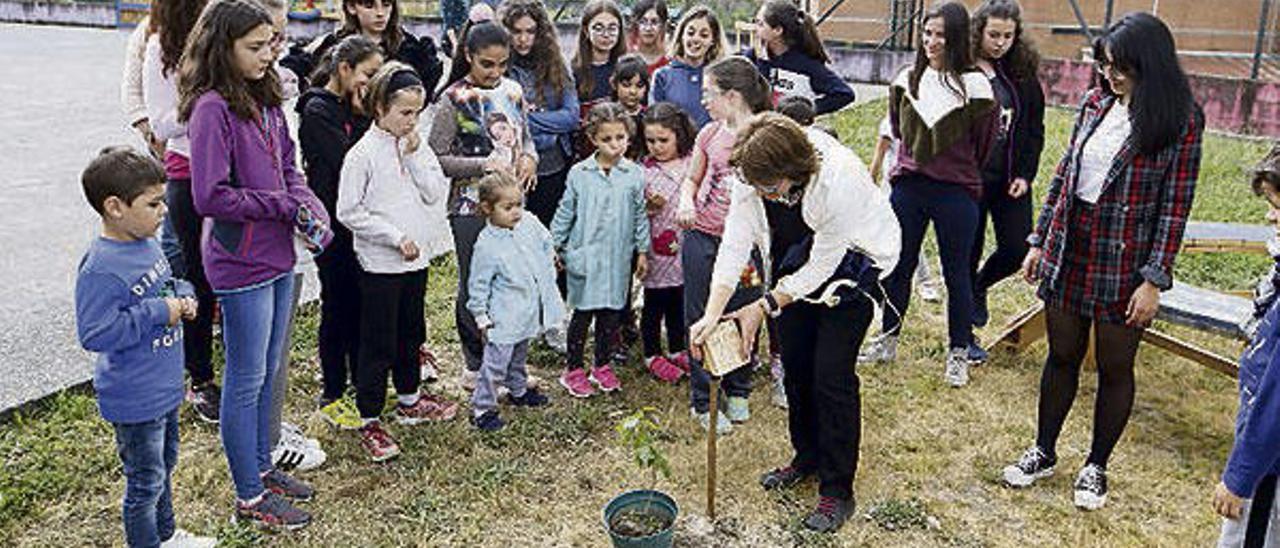 Alumnos de Candeán y Guadalajara comparten &quot;conciencia ecológica e inclusiva&quot;