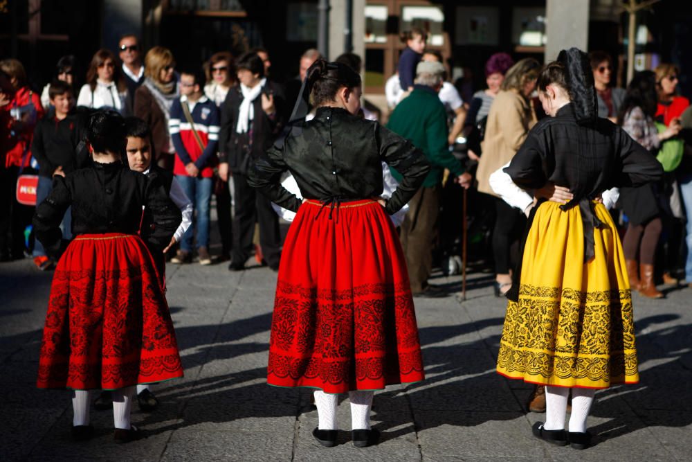 Celebración del Día de la Danza