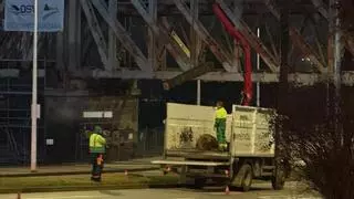 El viento derriba una palmera junto al Puente de Hierro de Mérida