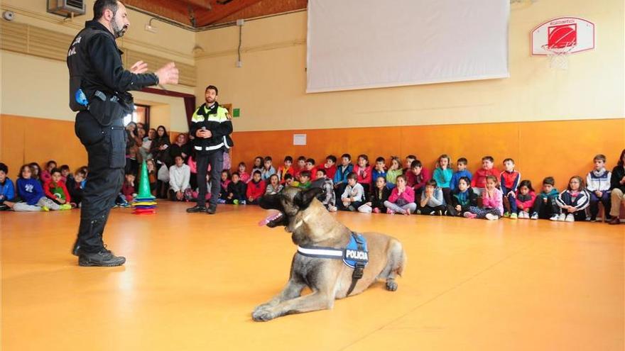 El Ayuntamiento de Plasencia adquiere para la policía un nuevo perro antidroga