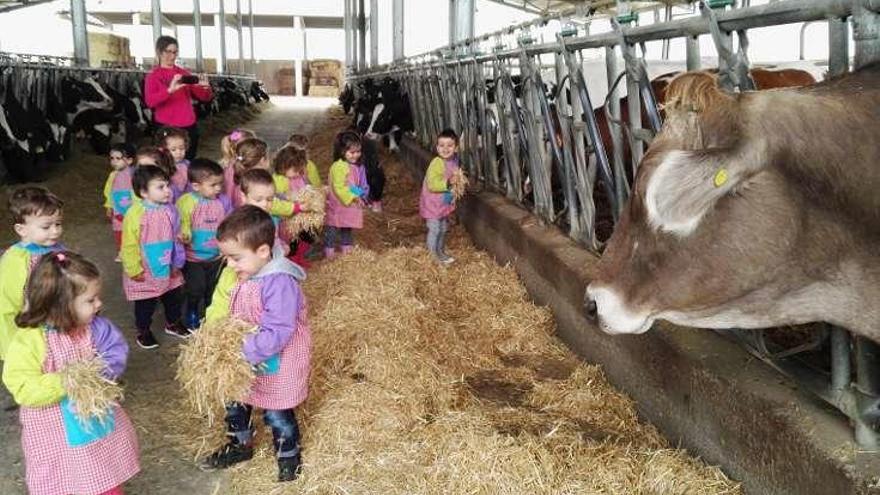 Los más pequeños disfrutan con la visita a granjas de vacas de la provincia
