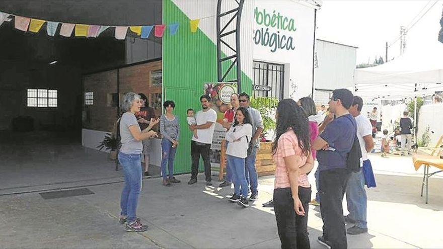 Imagen de archivo de una de las actividades organizadas por Subbética Ecológica.