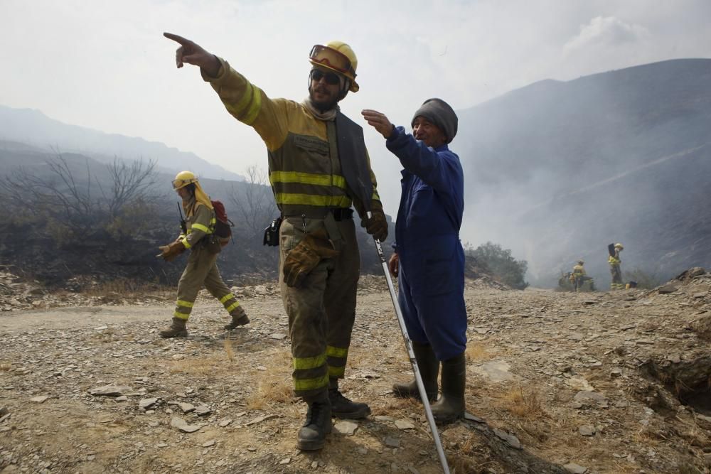 Incendio en los montes de León