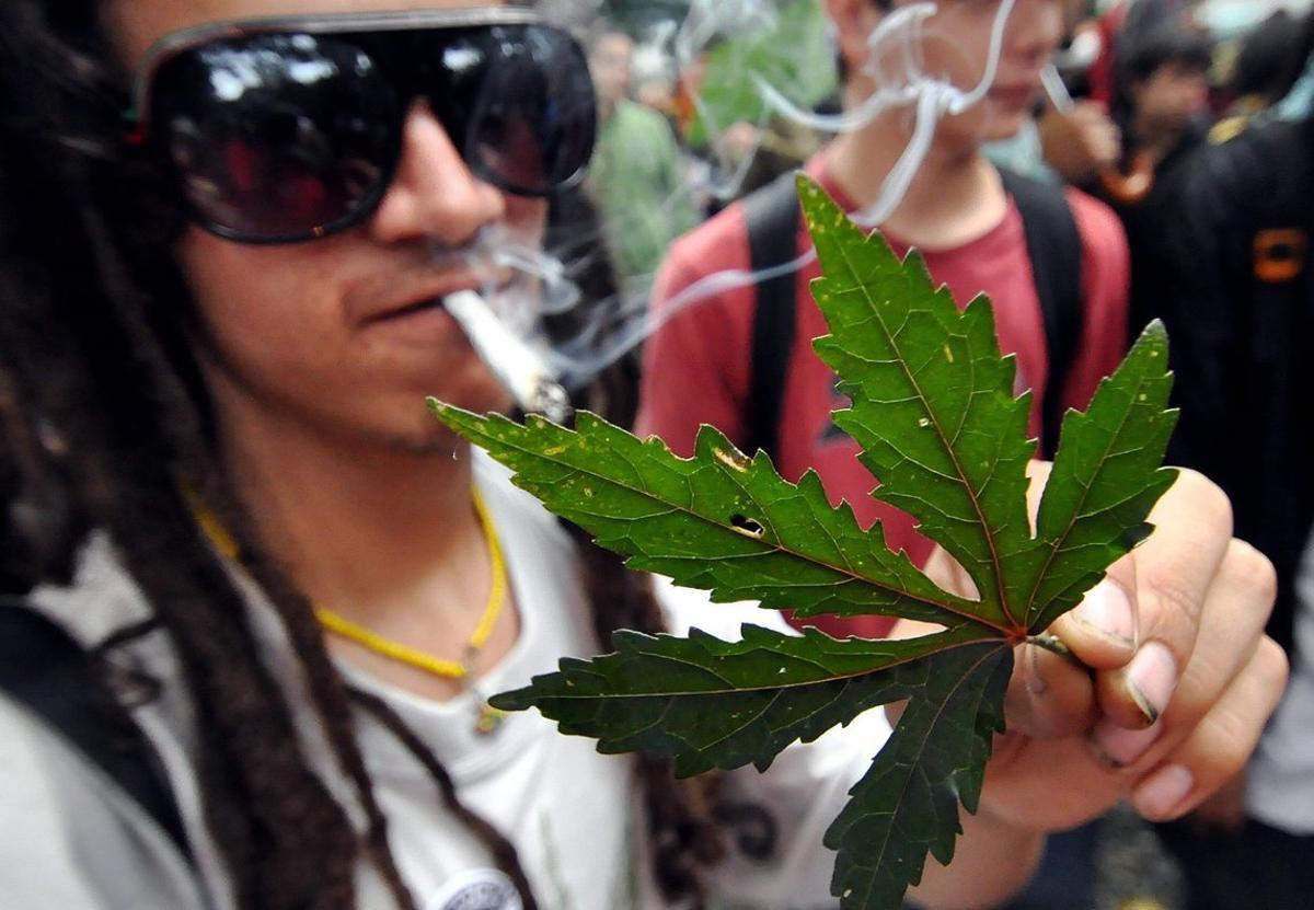 BOG01  MEDELLIN  COLOMBIA   02 05 09 - Un manifestante muestra una hoja que simboliza a la planta de cannabis sativa hoy  2 de mayo de 2009  en el centro de Medellin  Colombia   donde grupos de consumidores congregados por la Asociacion Canabica de Colombia  se reunien para marchar por la legalizacion de la marihuana  El acto se realizo en varias ciudades del mundo  EFE Edgar Dominguez