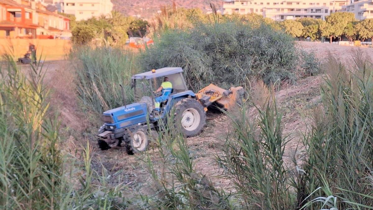 Tareas de limpieza en un arroyo de Málaga.