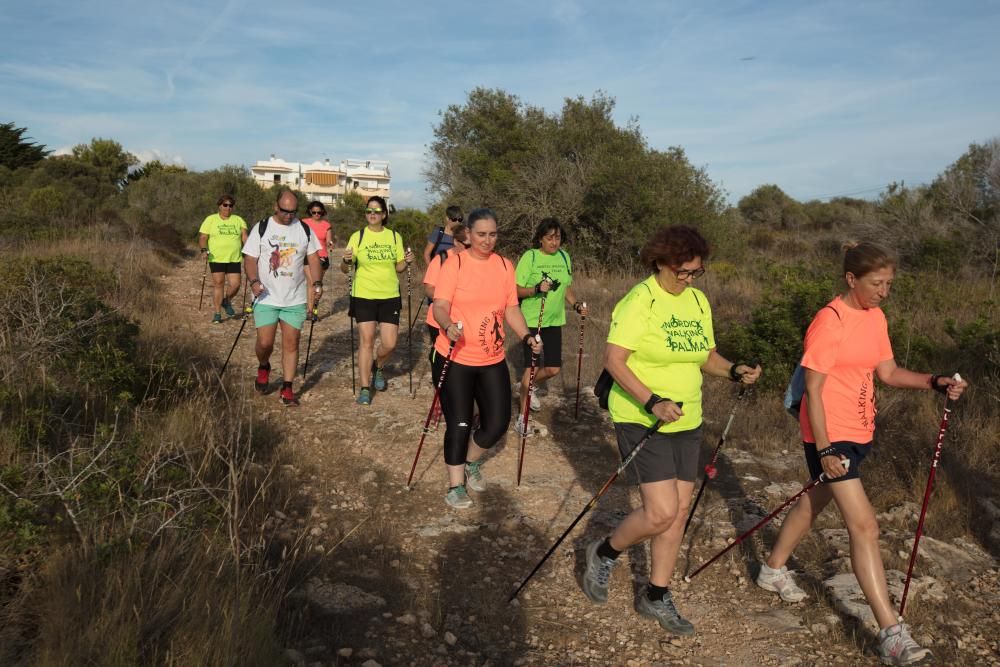 Mucho más que caminar