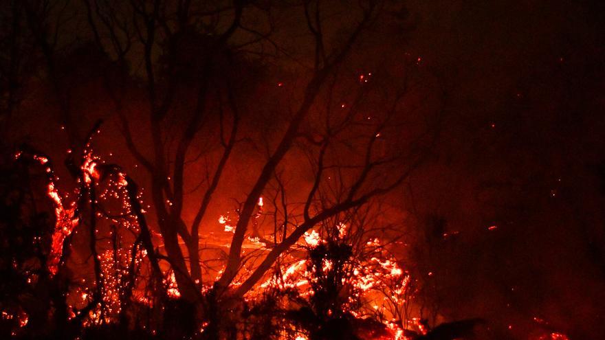 Indignación en Argentina por una actuación musical de Milei en plena ola de incendios en la Patagonia