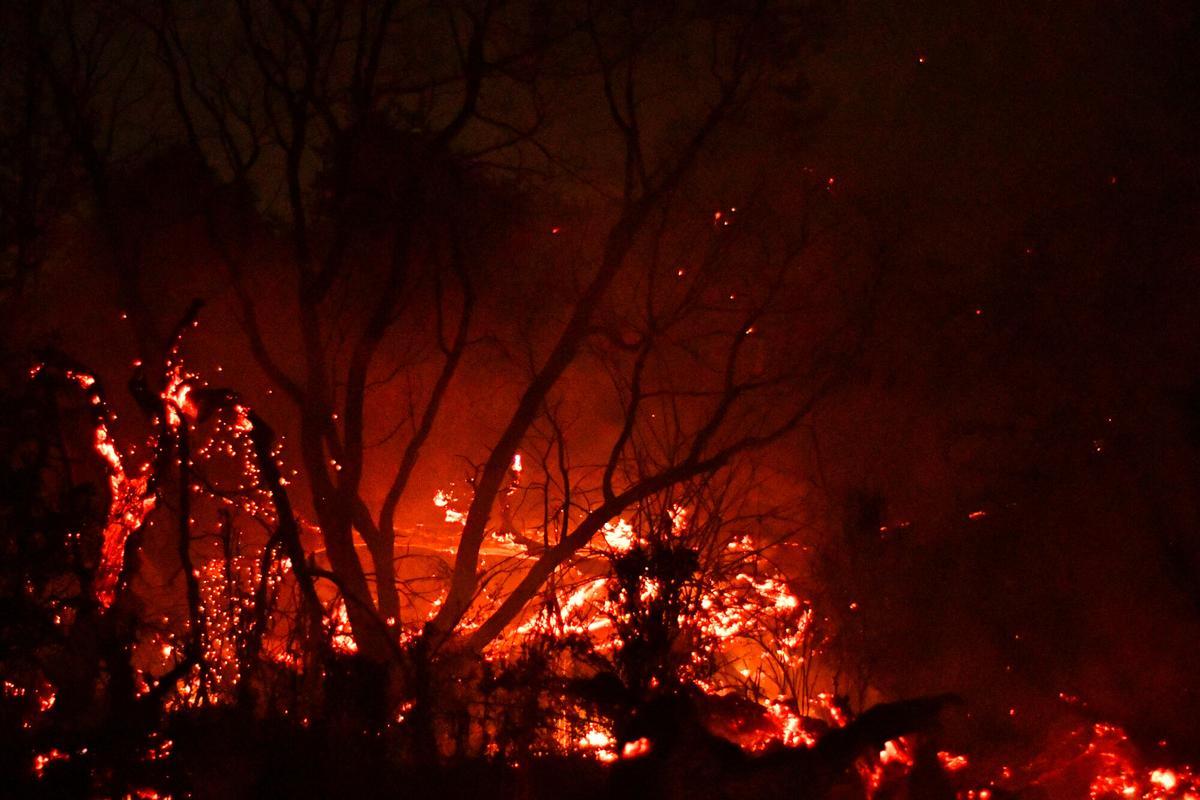 Las llamas queman una zona boscosa en Cholila, en la provincia de Chubut (Argentina).