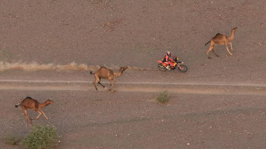 La sexta etapa del Rally Dakar 2026, en imágenes