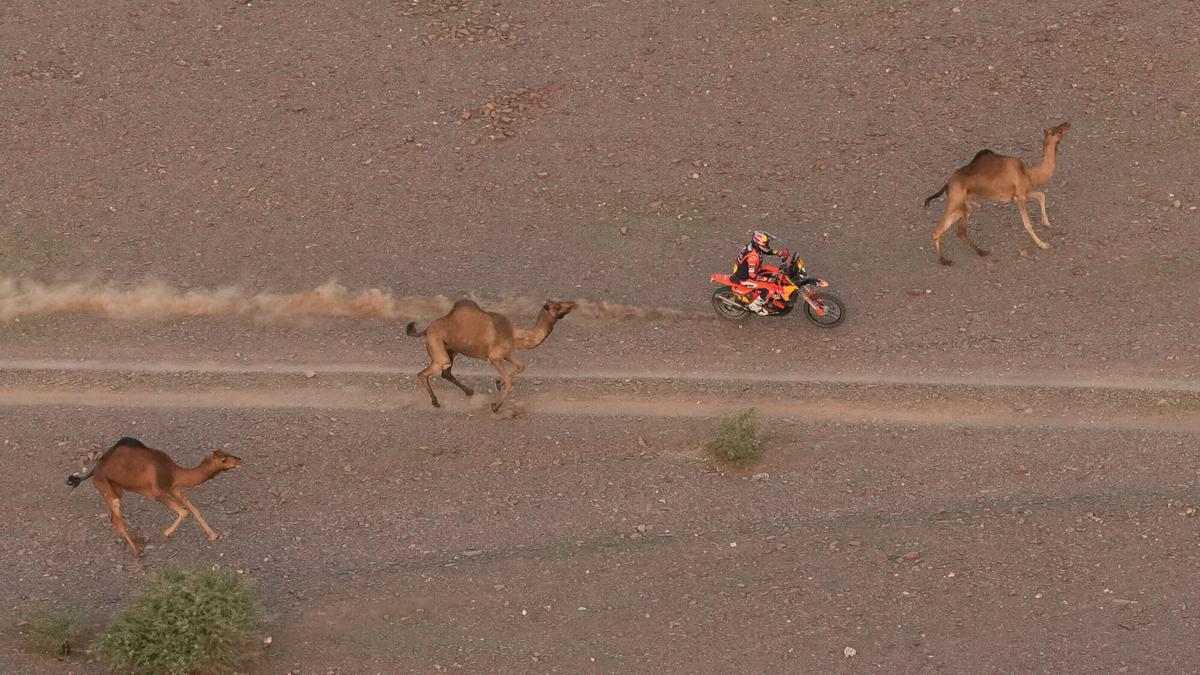 La sexta etapa del Rally Dakar 2026, en imágenes