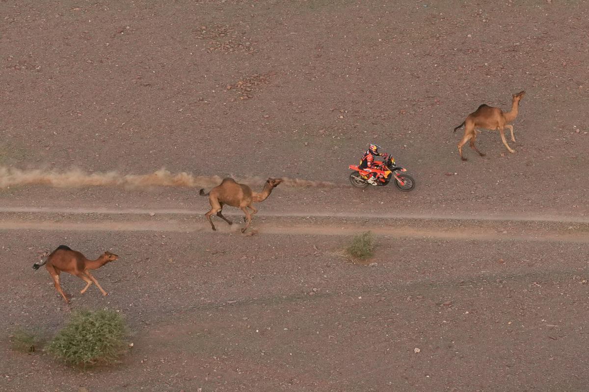 FILE - Rider Daniel Sanders drives beside camels during the second stage of the Dakar Rally between Yanbu and Alula, Saudi Arabia, Monday, Jan. 5, 2026. (AP Photo/Thibault Camus, File) Associate Press/ LaPresse Only Italy and Spain