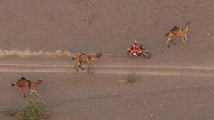 FILE - Rider Daniel Sanders drives beside camels during the second stage of the Dakar Rally between Yanbu and Alula, Saudi Arabia, Monday, Jan. 5, 2026. (AP Photo/Thibault Camus, File) Associate Press/ LaPresse Only Italy and Spain