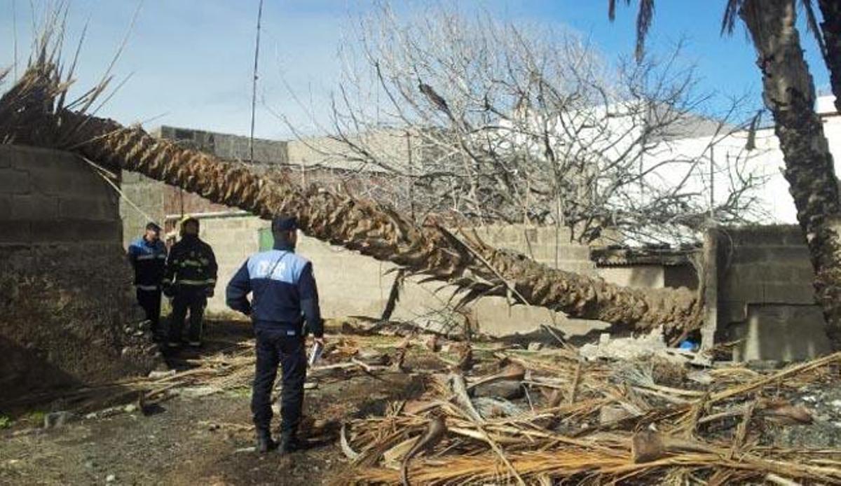Imagen del muro derrumbado tras la caída de la palmera.