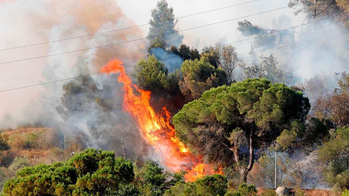 El fuego cerca de la AP-7, a la altura de Martorell