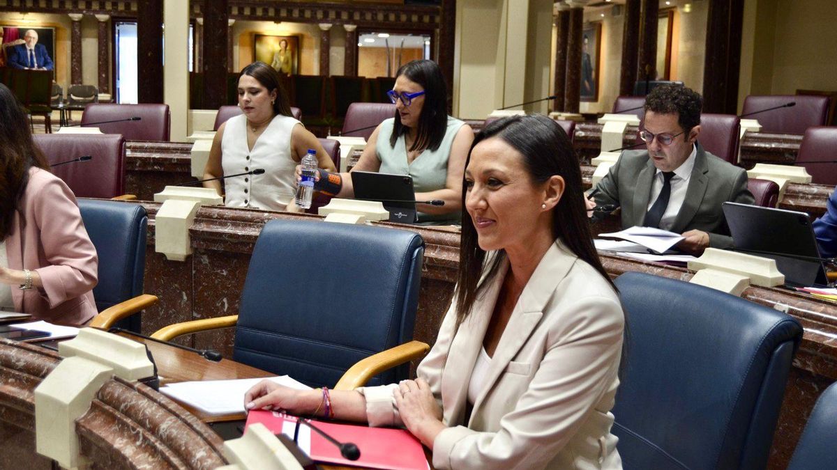Carmen Conesa durante su intervención sobre los Presupuestos de 2025.