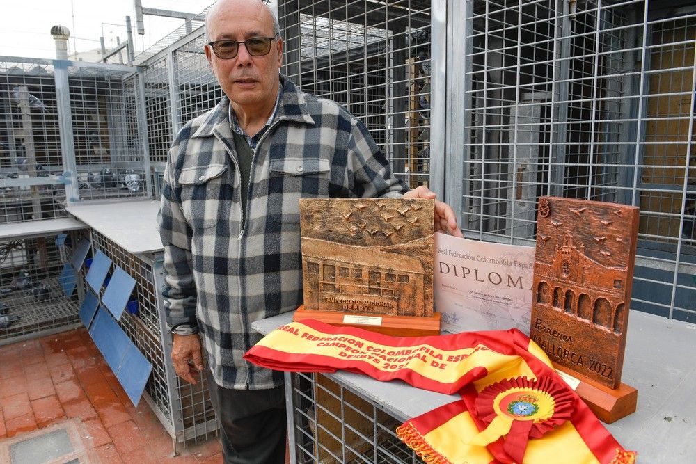 Isidro Suárez, ganador de un premio nacional de colombofilia