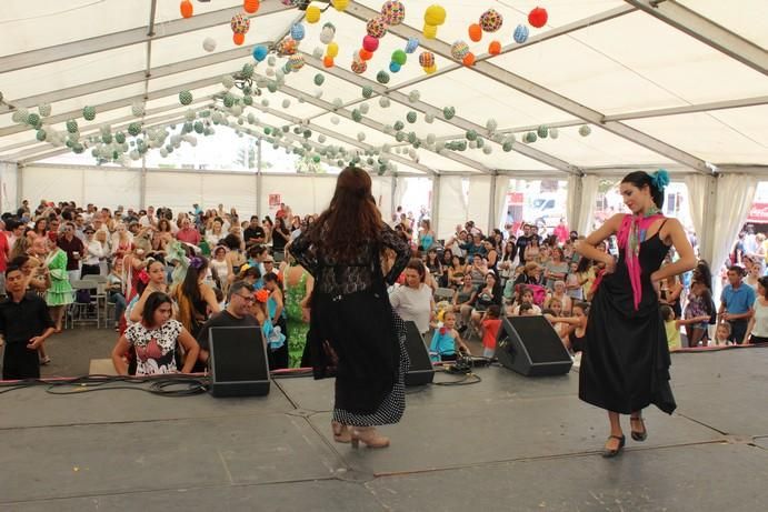 Feria del Sur en Playa Honda