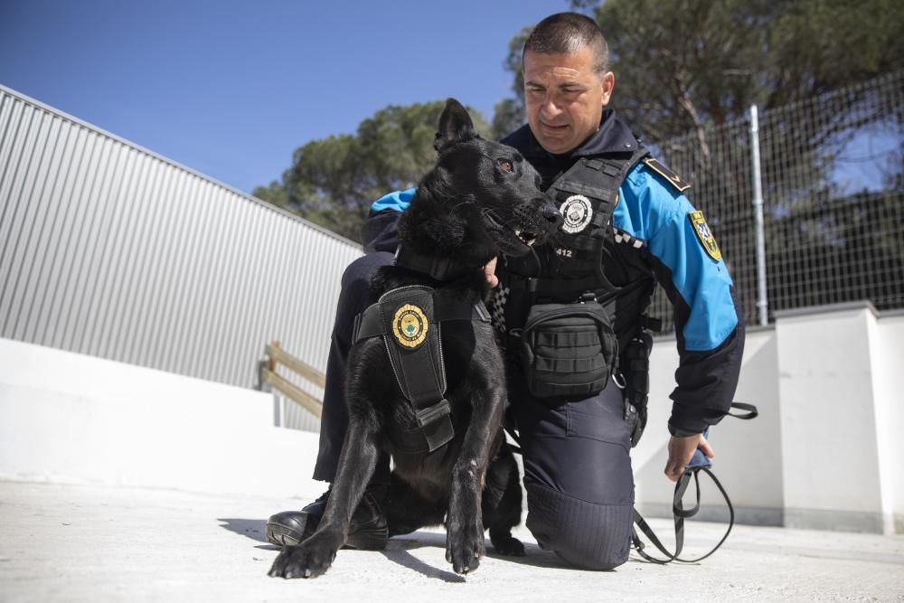 La Unitat Canina de la Policia Local de Lloret de Mar, en acció