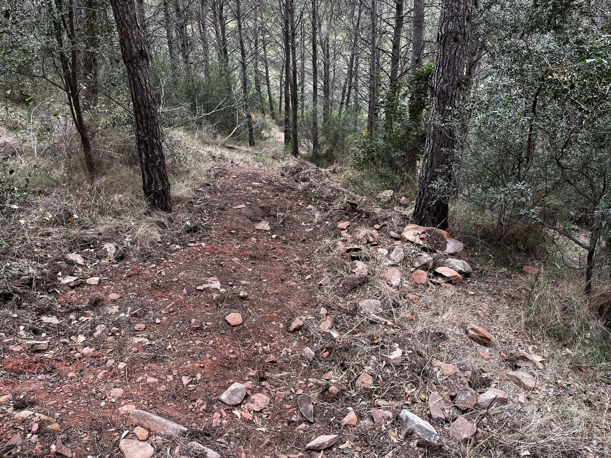 Las imágenes de la pista ilegal abierta en la Vilavella para practicar BTT