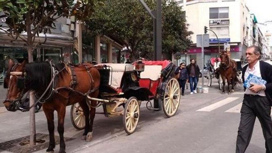 Los coches de caballos de Marbella dispondrán de un año para regularizar su situación