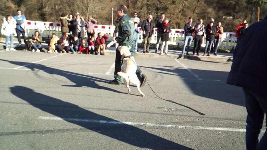 Demostraciones de la Guardia Civil. // FdV