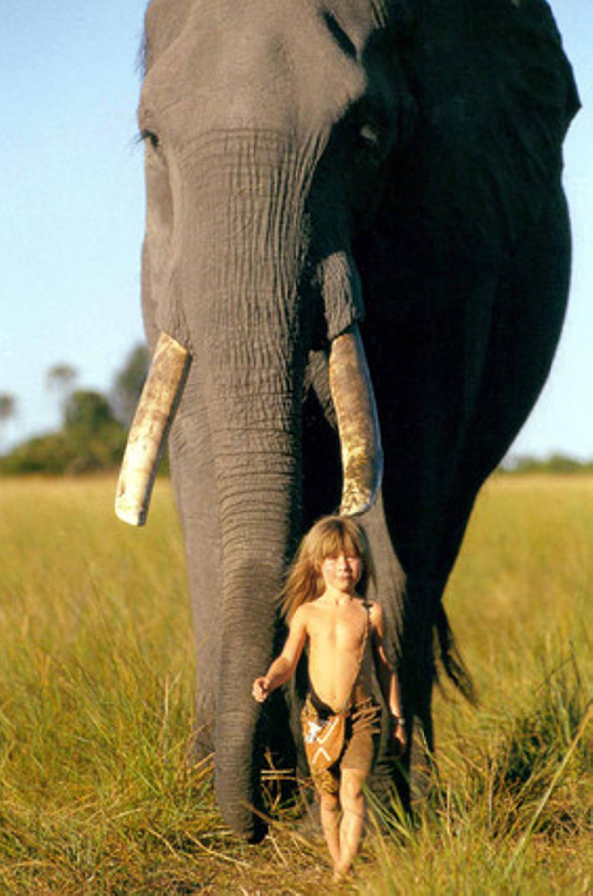Tippi camina davant d’un elefant.