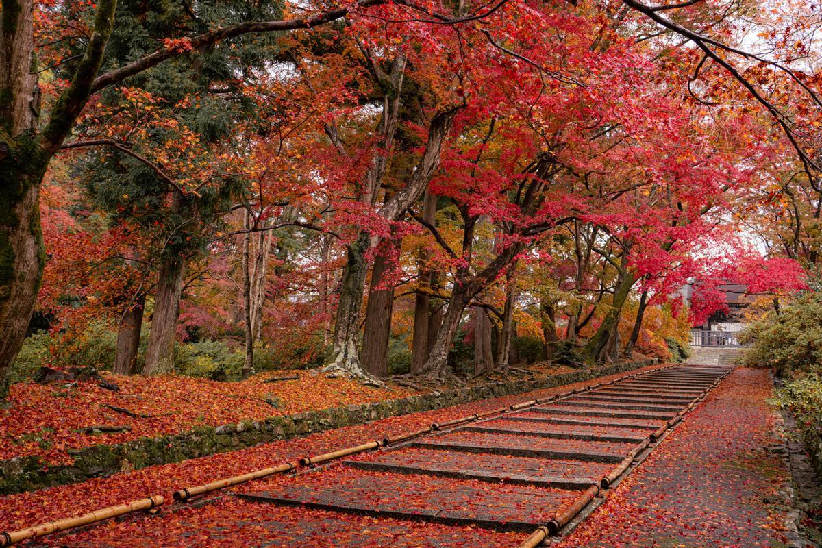 Japón en otoño.