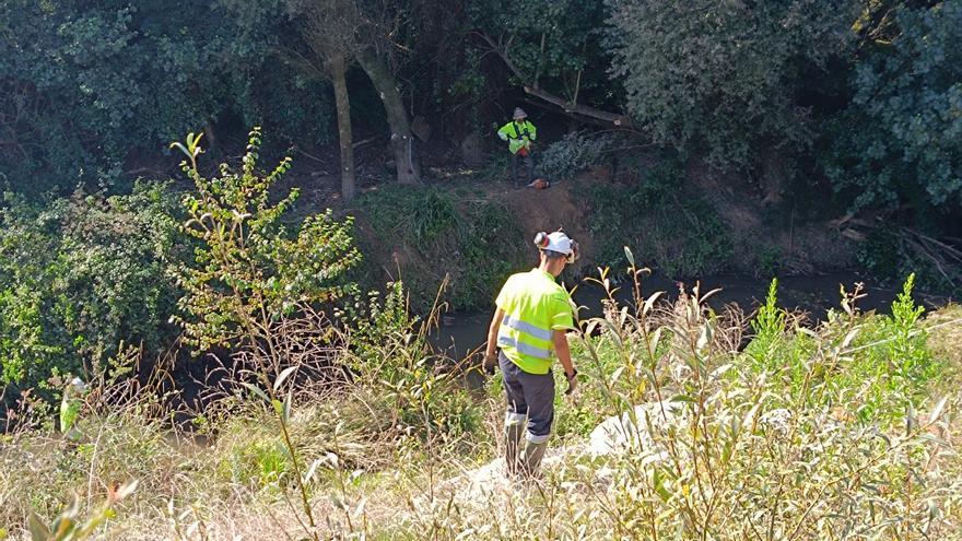 Siero potencia la limpieza de los cauces  fluviales del concejo: estos son los ríos en los que se va a actuar