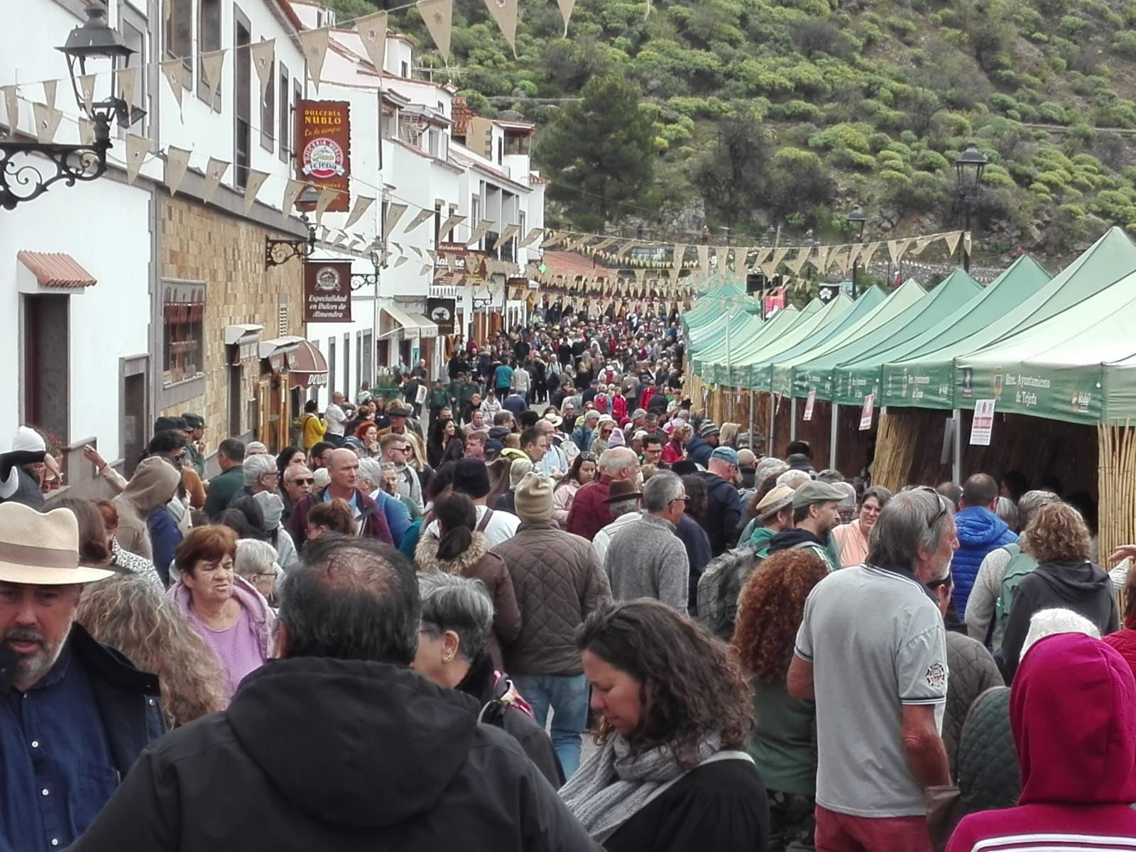 Fiesta del Almendro en Flor en Tejeda