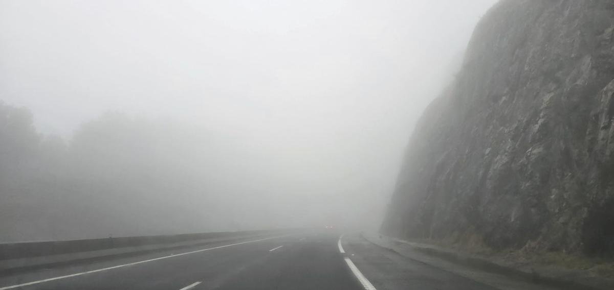 La  niebla en el paraíso.  | FDEV