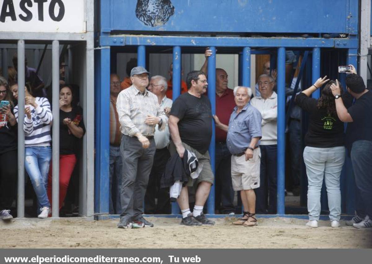 GALERÍA DE FOTOS -- Almassora late con toros bravos pese a la lluvia