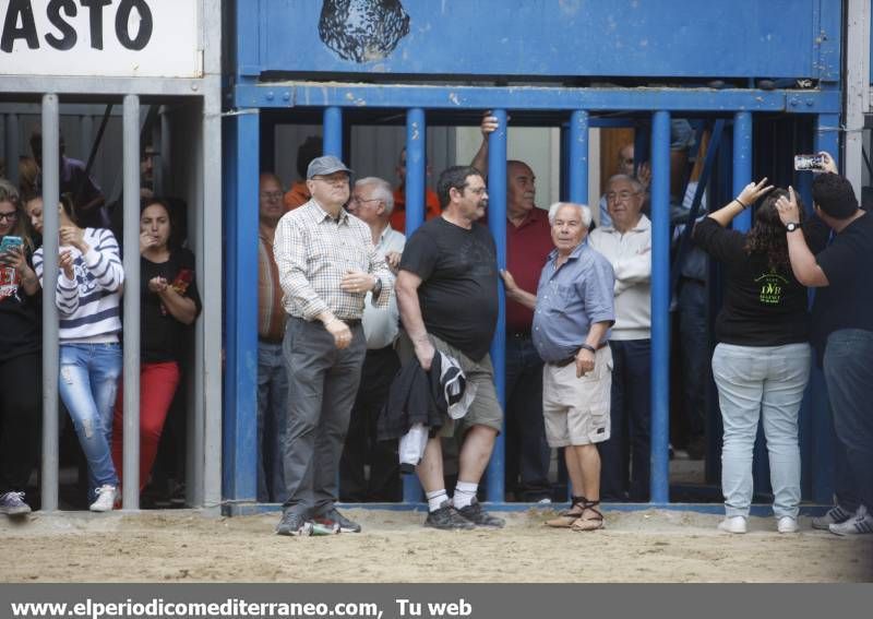 GALERÍA DE FOTOS -- Almassora late con toros bravos pese a la lluvia