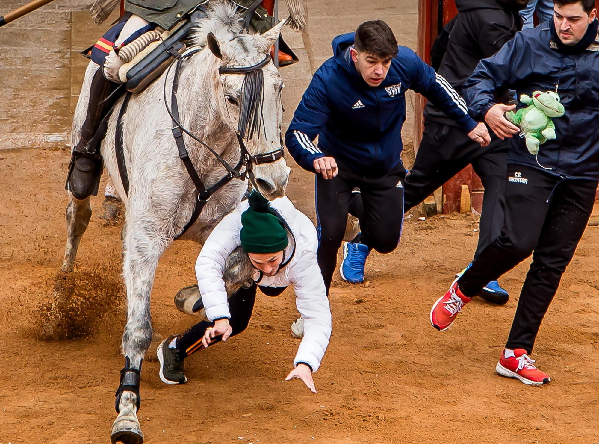 Carnaval del Toro en Ciudad Rodrigo (Salamanca)
