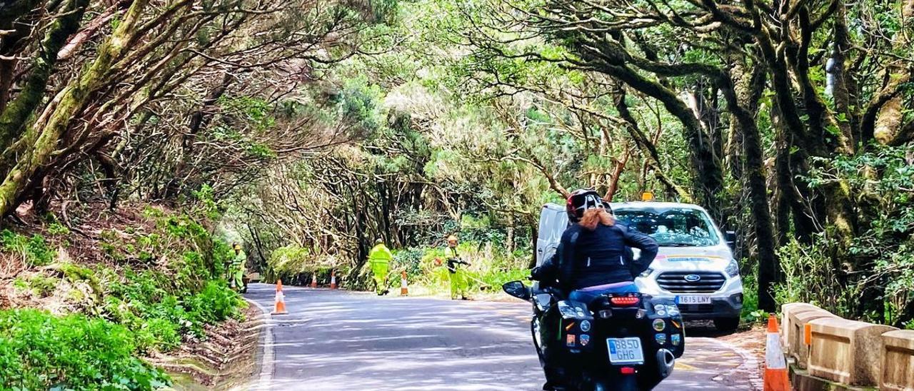 Operarios del Ayuntamiento de Santa Cruz realizan labores de mantenimiento en el Parque Rural de Anaga.