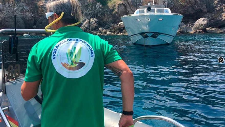 Una de las barcas de vigilancia de posidonia.