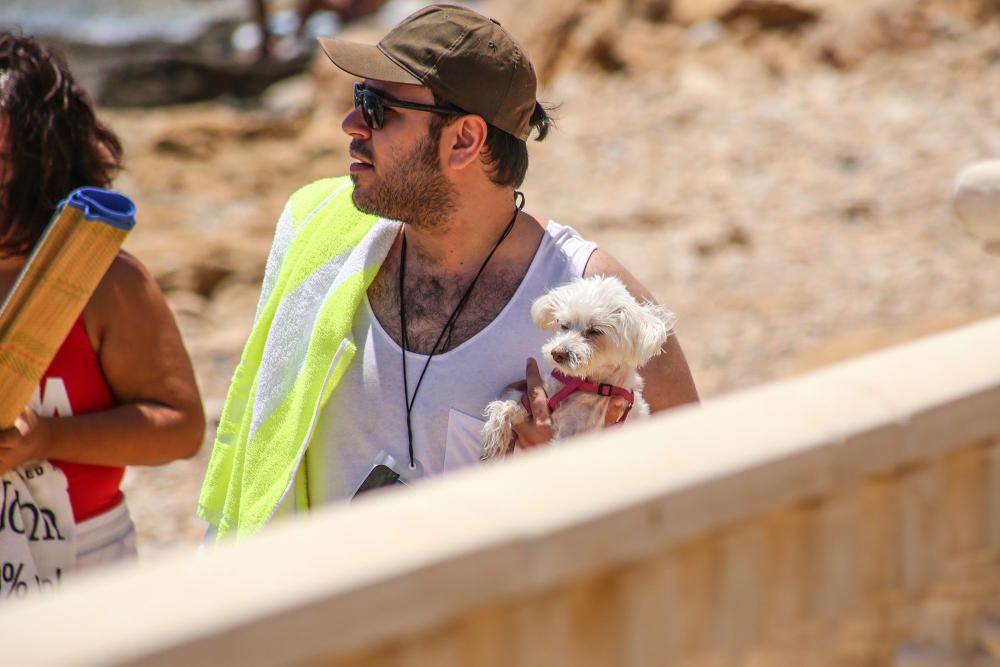 Los bañistas están acudiendo con perros a Punta Margalla y Cala del Moro, las dos playas autorizadas para perros, sin que el Ayuntamiento las haya señalizado todavía.